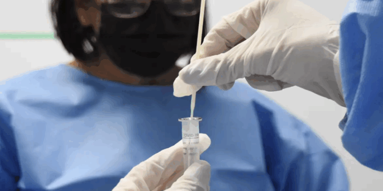 Nova variante do vírus da covid-19 circula na cidade do Rio de Janeiro