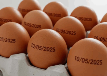 País tem recorde na produção de ovos, abate de bovinos, frango e porco