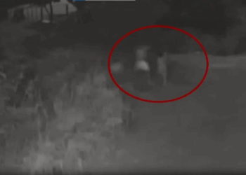 Namorado de mulher encontrada morta em valão se apresenta à polícia