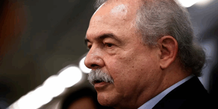 BNDES aprova mais de R$ 10 bilhões para o Fundo Clima