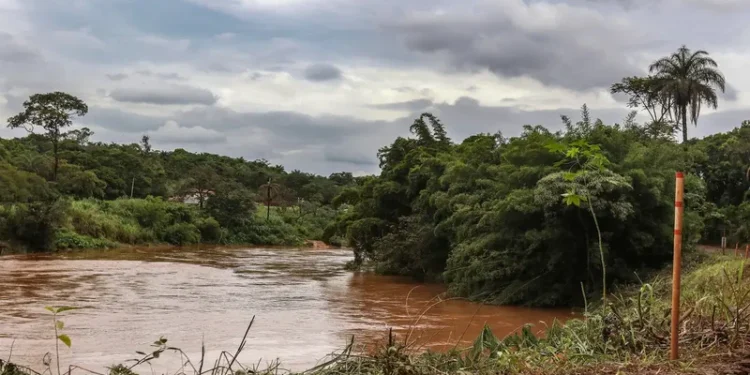Estudo detecta presença de metais na urina de crianças em Brumadinho