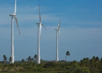 Brasileiros acreditam que economia verde trará novos empregos
