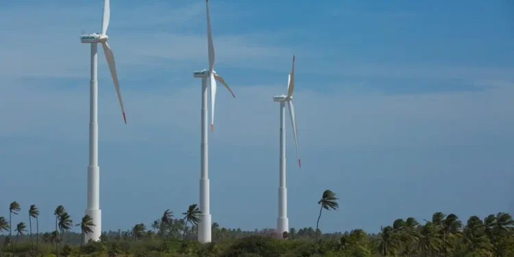 Brasileiros acreditam que economia verde trará novos empregos