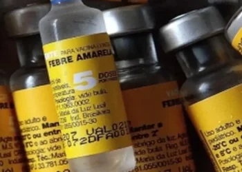 Saúde confirma casos de febre amarela em macacos em município paulista