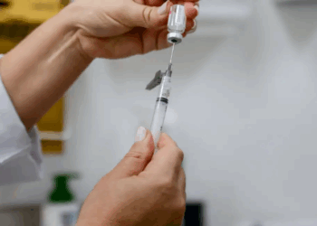 Dengue: 1 milhão de doses da vacina podem ser entregues pelo Butantan