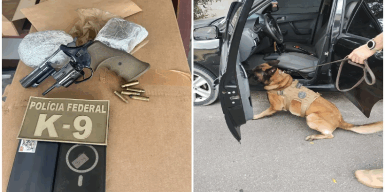 PF prende no ES dois suspeitos de tráfico interestadual de drogas