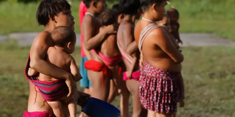 Mortes em Terra Yanomami caem 27,6% desde declaração de emergência