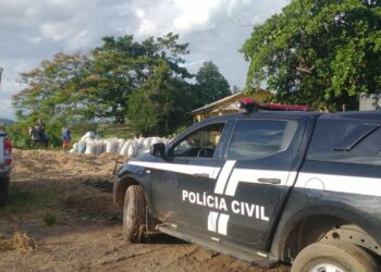 Polícia Civil recupera mais de 20 cabeças de gado furtadas em Jerônimo Monteiro