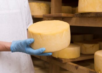 Dia do Queijo destaca a força da produção artesanal no Espírito Santo