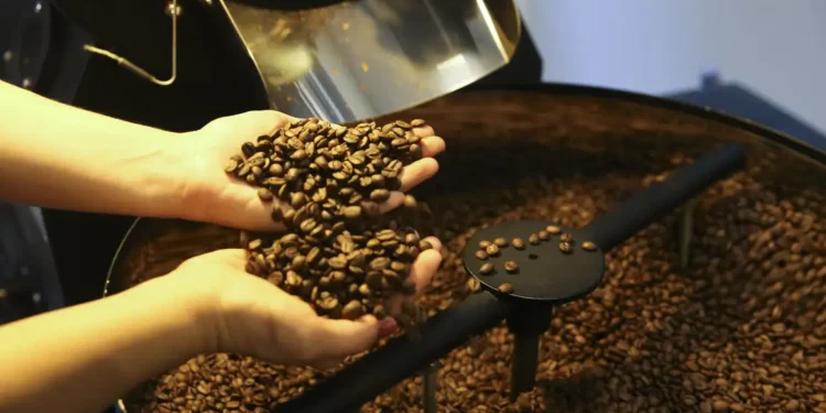 Exportação de café do Brasil cai em 2025, mas bate recorde em receita