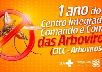 CICC de Arboviroses completa um ano de trabalho com fortalecimento de ações de enfrentamento à dengue e demais doenças