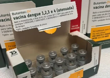 Municípios fluminenses começam a receber vacina contra a dengue