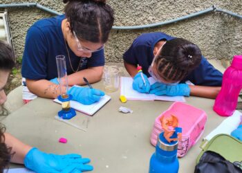Escola Padre Antônio Volkers realiza aula prática de Ciências sobre etanol na gasolina
