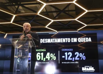 Desmatamento na Amazônia cai 61,4% em maio de 2026