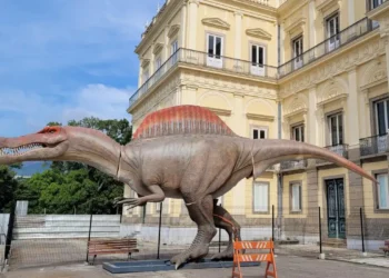 Museu Nacional ganha réplica de dinossauro brasileiro com 15 metros