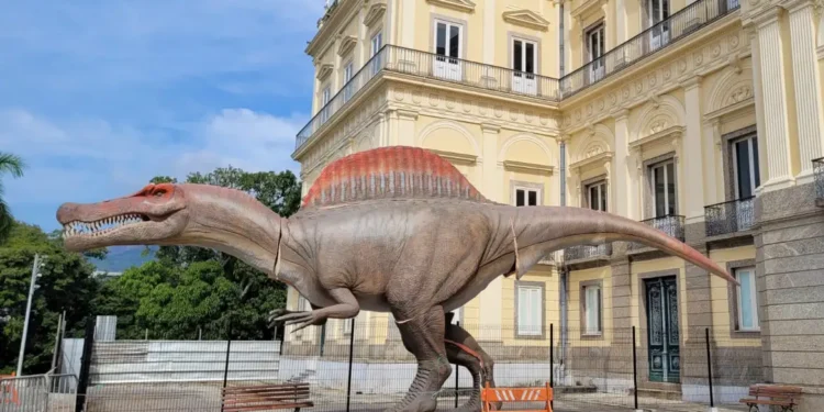 Museu Nacional ganha réplica de dinossauro brasileiro com 15 metros