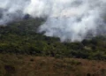 Copernicus: emissão global de gases por incêndios é a menor em 24 anos