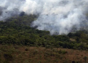 Copernicus: emissão global de gases por incêndios é a menor em 24 anos