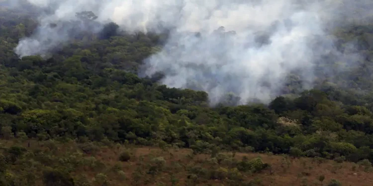 Copernicus: emissão global de gases por incêndios é a menor em 24 anos