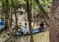 Site lançado por ONGs atualiza informações sobre caso Dom e Bruno