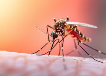 Cariacica registra redução de quase 82% nos casos de dengue no primeiro semestre de 2026