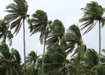 Ventos provocam danos na Costa Verde e na região serrana do RJ