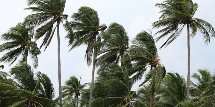 Ventos provocam danos na Costa Verde e na região serrana do RJ