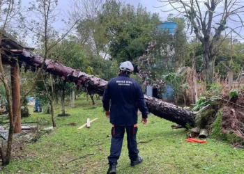 Rio Grande do Sul: chuvas deixam 720 desabrigados em Eldorado do Sul