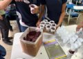 Escola de São Mateus cria premiação com açaí para incentivar frequência escolar