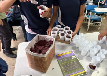 Escola de São Mateus cria premiação com açaí para incentivar frequência escolar