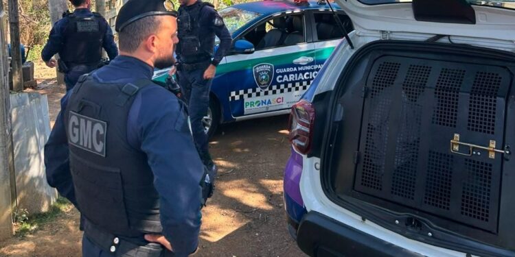 Patrulha da Mulher prende homem após descumprimento de medida protetiva