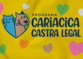 Cariacica abre 200 vagas para castração gratuita de cães e gatos; veja como se inscrever