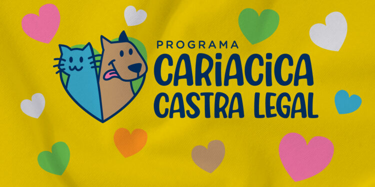 Cariacica abre 200 vagas para castração gratuita de cães e gatos; veja como se inscrever